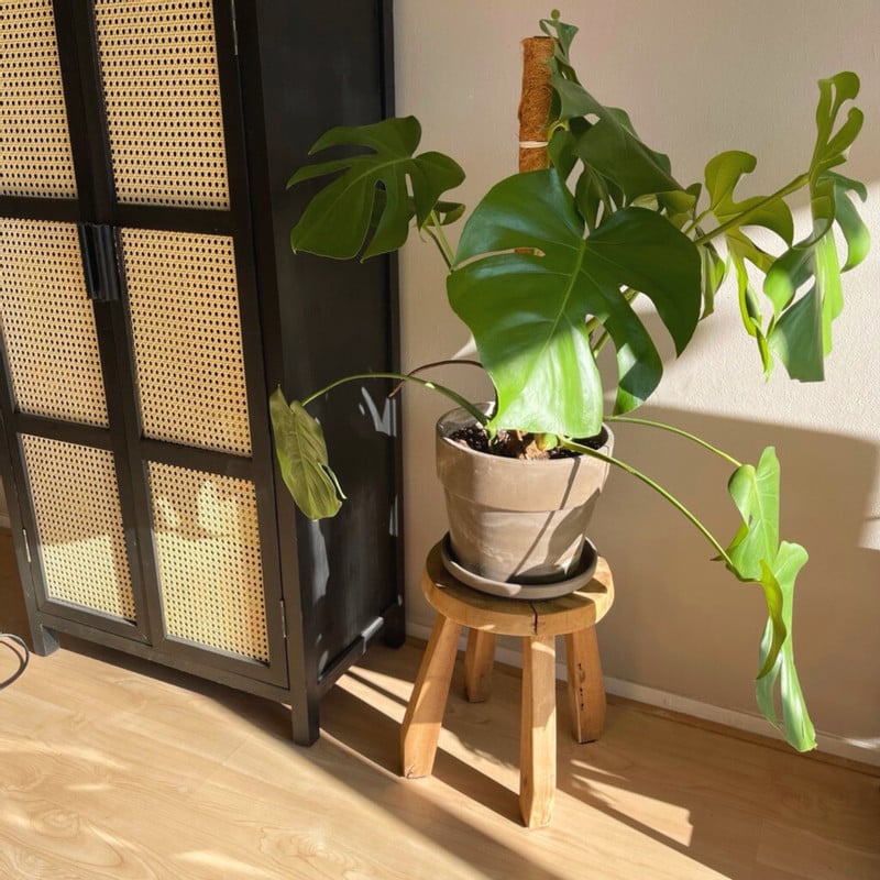 Krukje Munduk recycled hout - bruin - ø32x39 cm