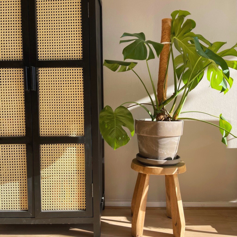 Krukje Munduk recycled hout - bruin - ø32x39 cm