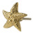 Meubelknop zeester - goud - 5.5x5.5 cm