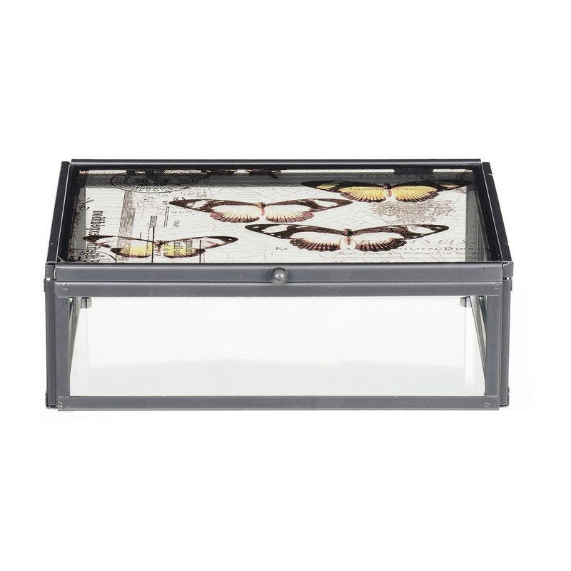 Glazen kistje vlinders - 16x21x7 cm 