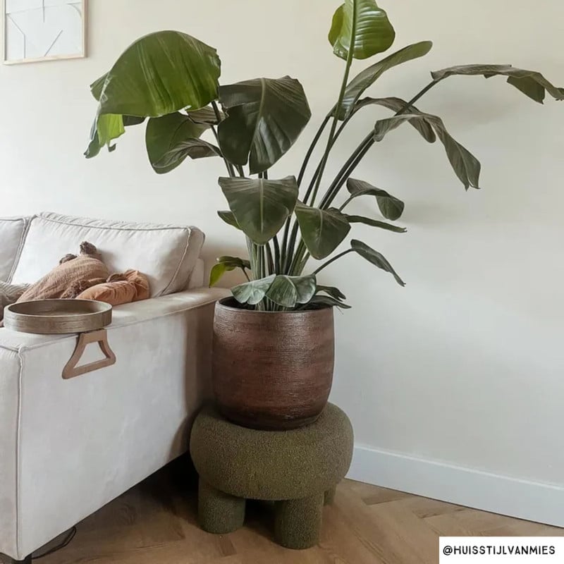 Teddy poef dodo - groen - ø52x31 cm