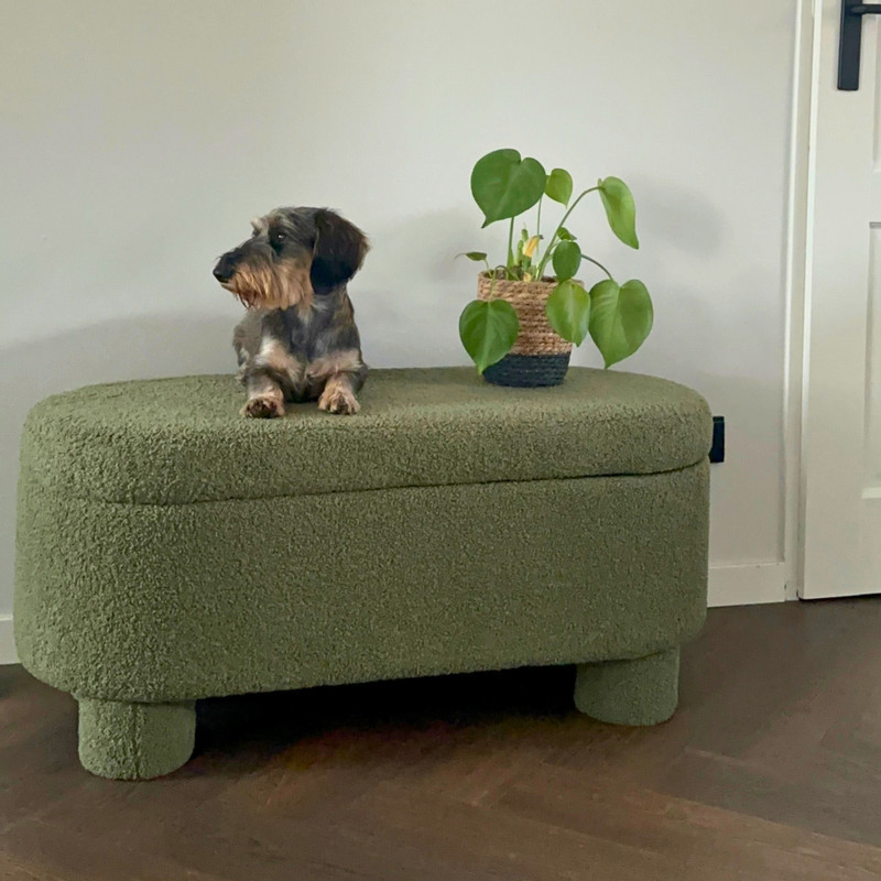 Opbergbank teddy dodo - groen - 43x100x42 cm