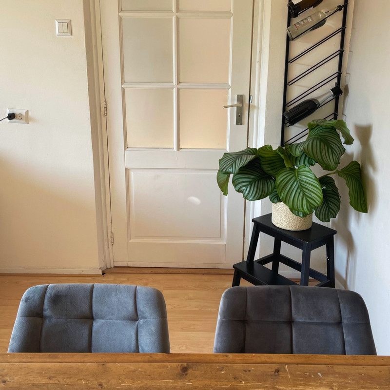 Eetkamerstoel velvet - grijs - 79x50x44 cm