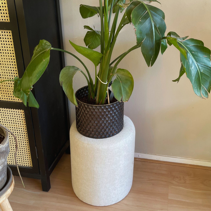 Poef Debby - beige - ø35x40 cm