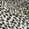 Tapijt Luipaard - 90x130 cm