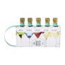 Cocktail set - skinny - set van 5