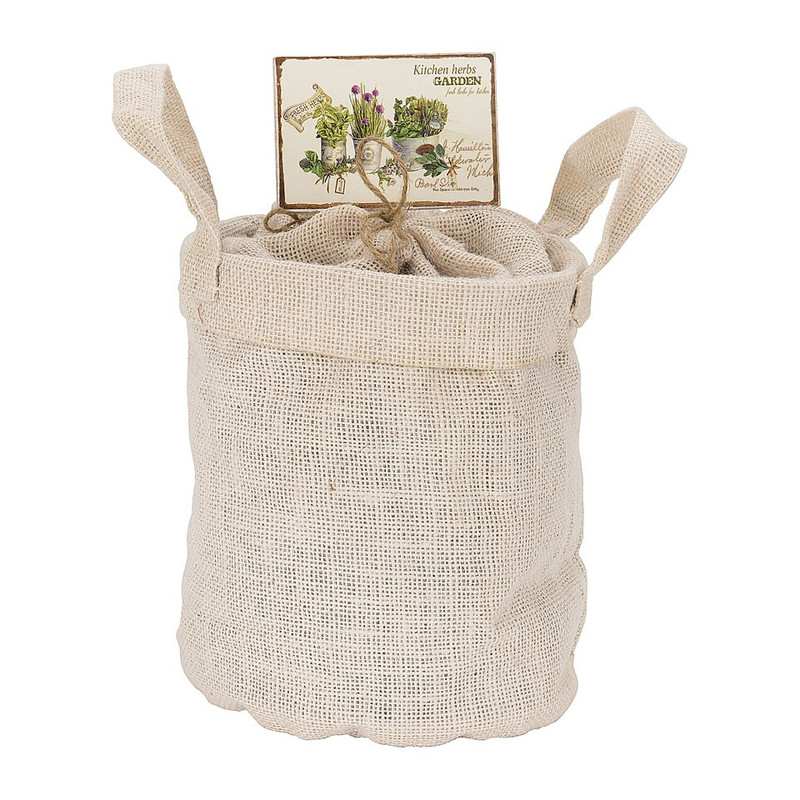 Kweekzak kruiden - basilicum