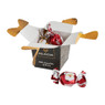 Santalicious chocolats giftbox - 40 g