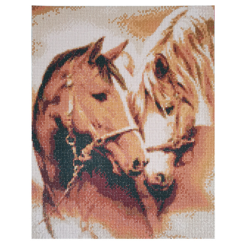 Diamond painting paard 40x50 cm Xenos