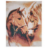 Diamond painting - paard - 40x50 cm