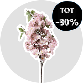 Bloemen en Planten