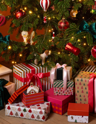 Aanbevolen afbeelding