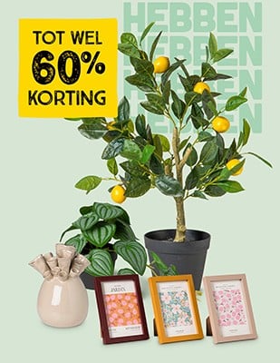 Aanbevolen afbeelding